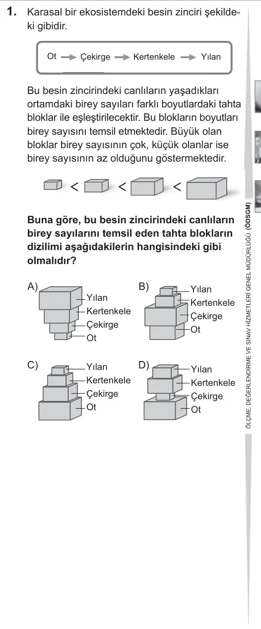 LGS 2019 Sayısal Fen Bilimleri 1. Soru görseli