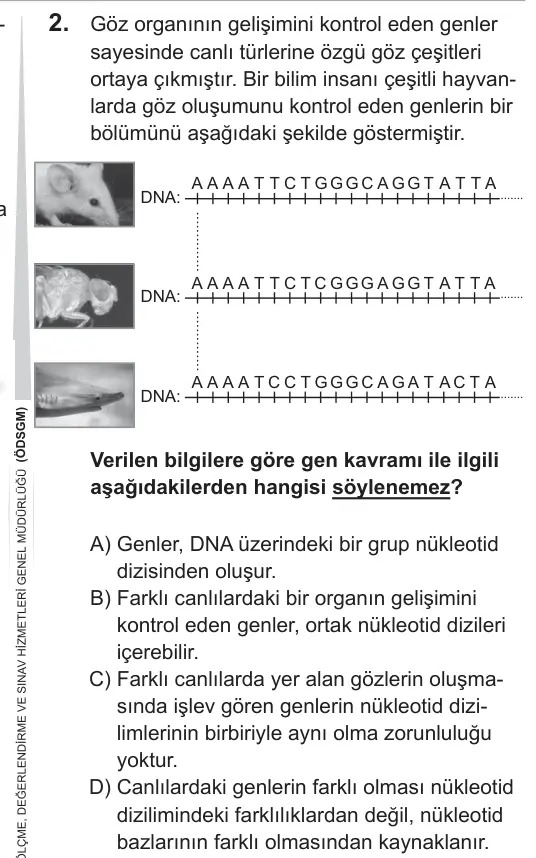 LGS 2019 Sayısal Fen Bilimleri 2. Soru görseli