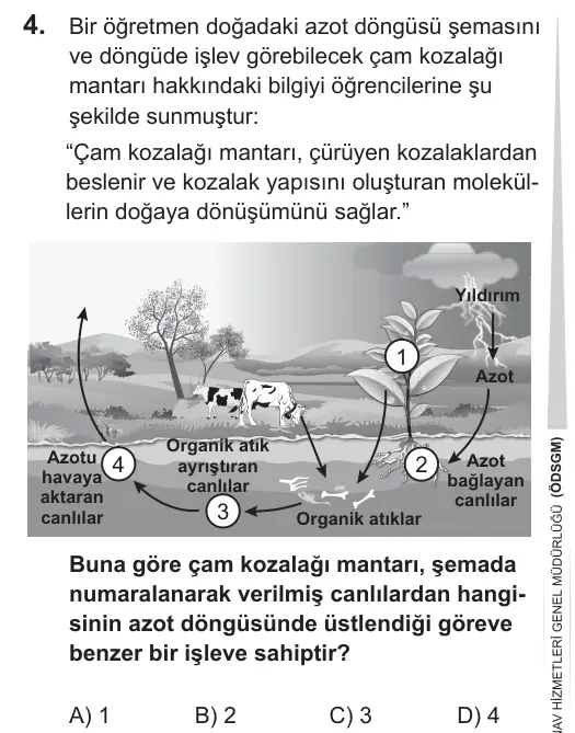 LGS 2019 Sayısal Fen Bilimleri 4. Soru görseli