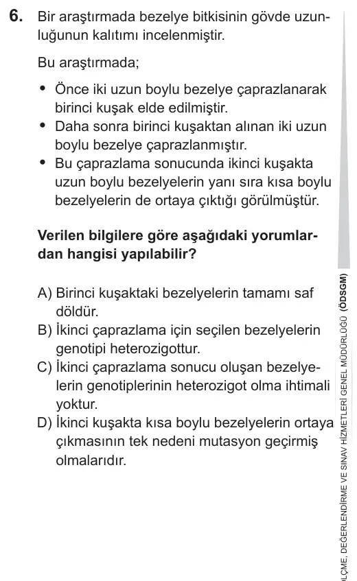 LGS 2019 Sayısal Fen Bilimleri 6. Soru görseli