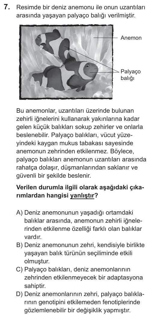 LGS 2019 Sayısal Fen Bilimleri 7. Soru görseli
