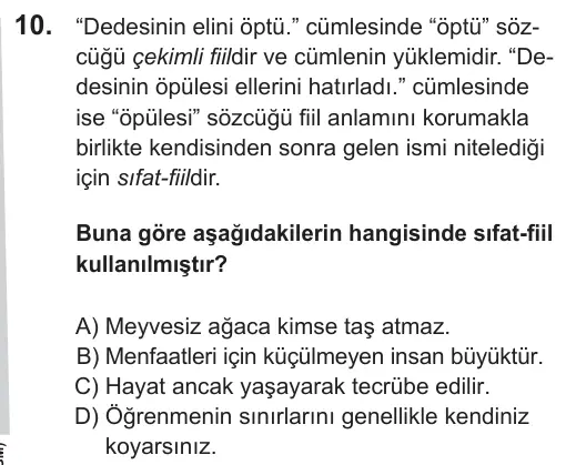 LGS 2019 Sözel Türkçe 10. Soru görseli