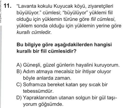LGS 2019 Sözel Türkçe 11. Soru görseli