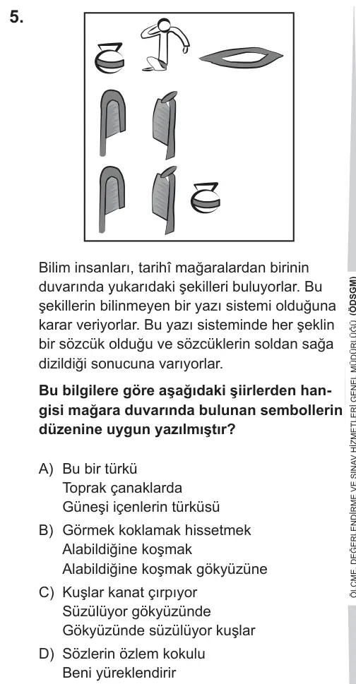 LGS 2019 Sözel Türkçe 5. Soru görseli