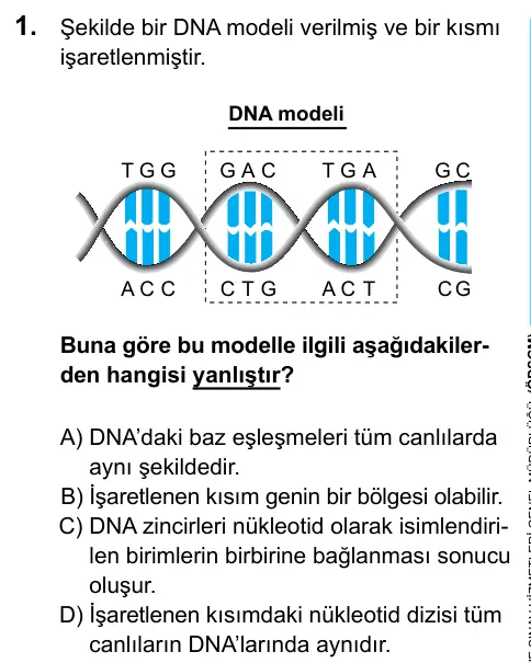 LGS 2020 Sayısal Fen Bilimleri 1. Soru görseli