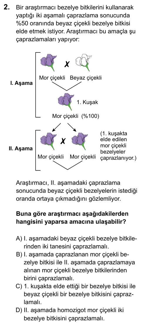 LGS 2020 Sayısal Fen Bilimleri 2. Soru görseli
