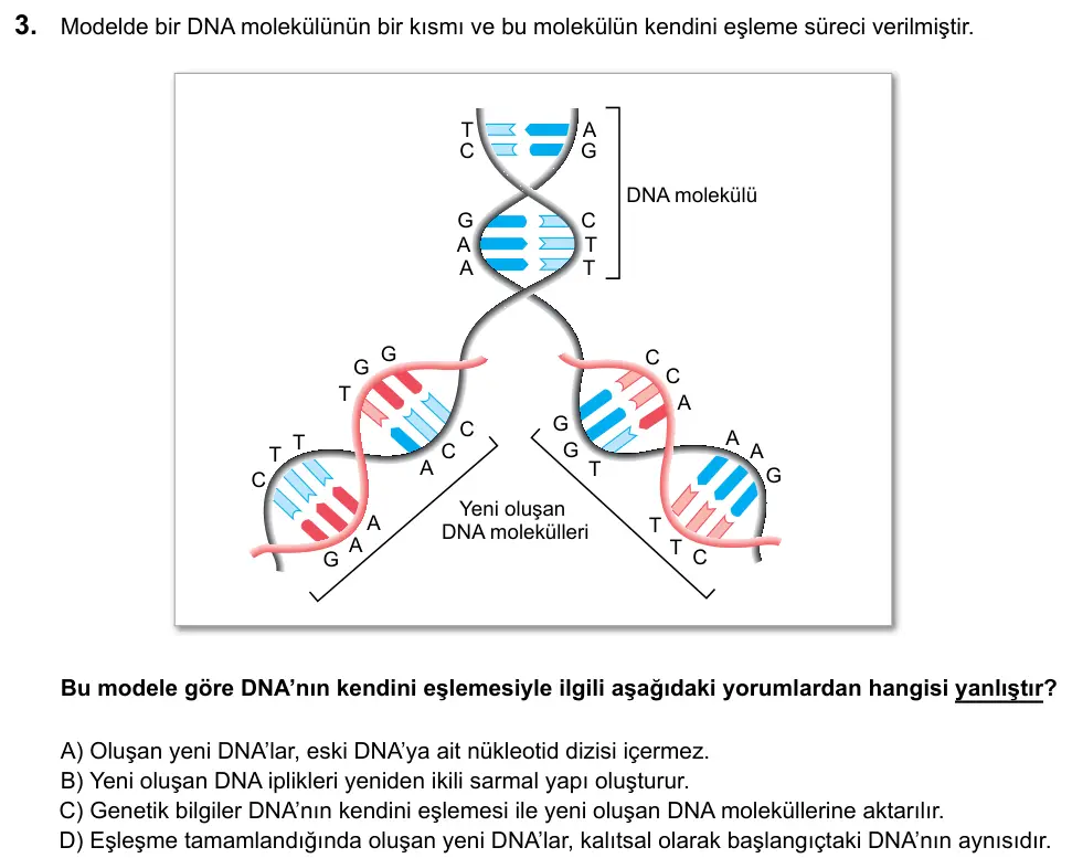 LGS 2020 Sayısal Fen Bilimleri 3. Soru görseli