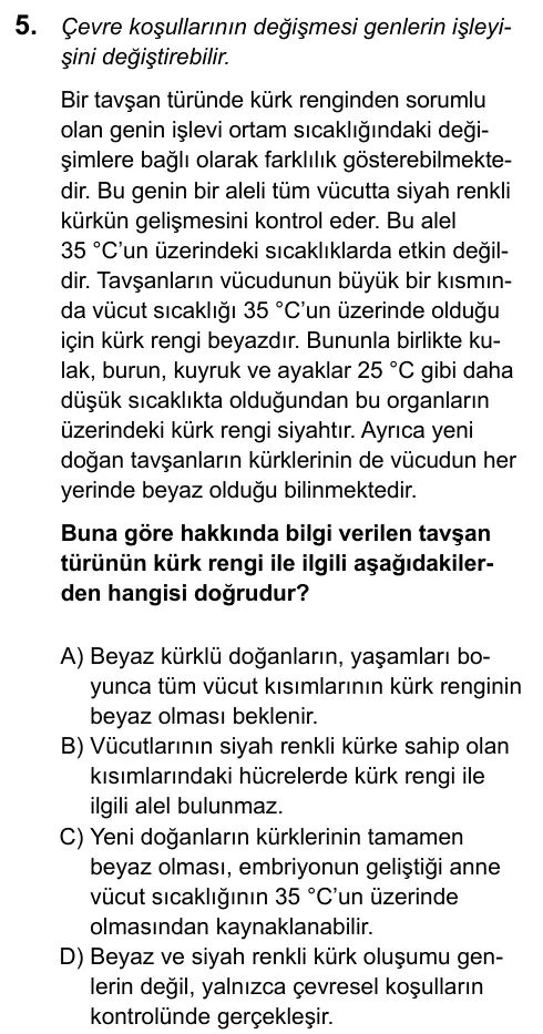 LGS 2020 Sayısal Fen Bilimleri 5. Soru görseli