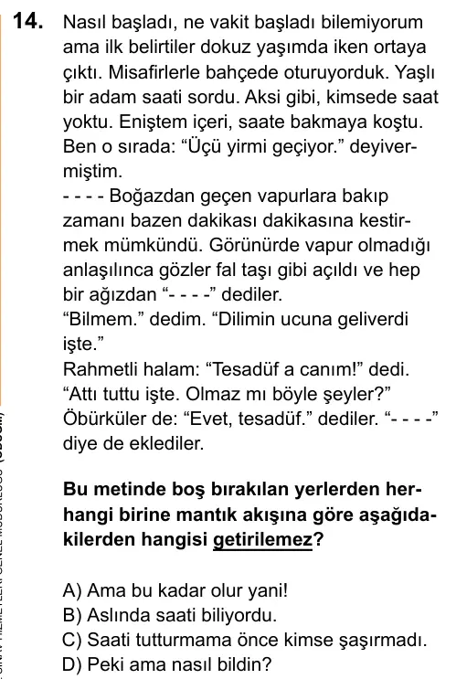 LGS 2020 Sözel Türkçe 14. Soru görseli