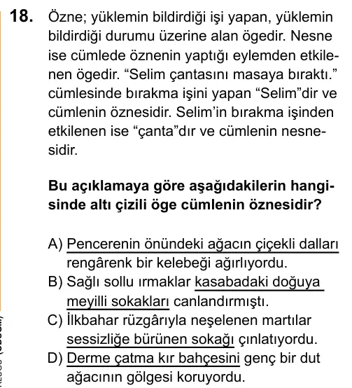 LGS 2020 Sözel Türkçe 18. Soru görseli