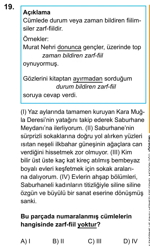LGS 2020 Sözel Türkçe 19. Soru görseli