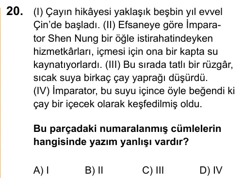 LGS 2020 Sözel Türkçe 20. Soru görseli
