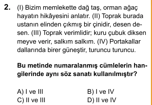 LGS 2020 Sözel Türkçe 2. Soru görseli