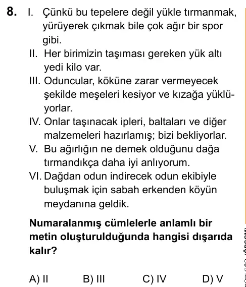 LGS 2020 Sözel Türkçe 8. Soru görseli