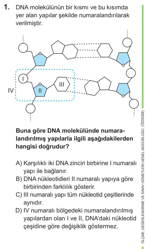 LGS 2021 Sayısal Fen Bilimleri 1. Soru görseli