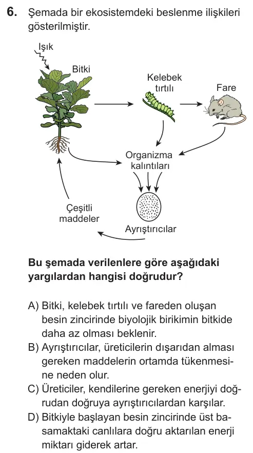 LGS 2021 Sayısal Fen Bilimleri 6. Soru görseli