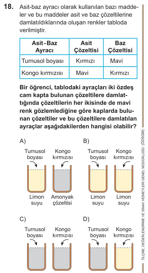 LGS 2022 Sayısal Fen Bilimleri 18. Soru görseli