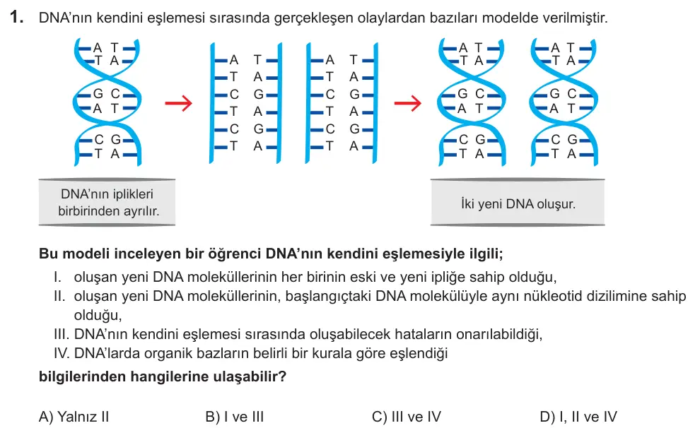 LGS 2022 Sayısal Fen Bilimleri 1. Soru görseli