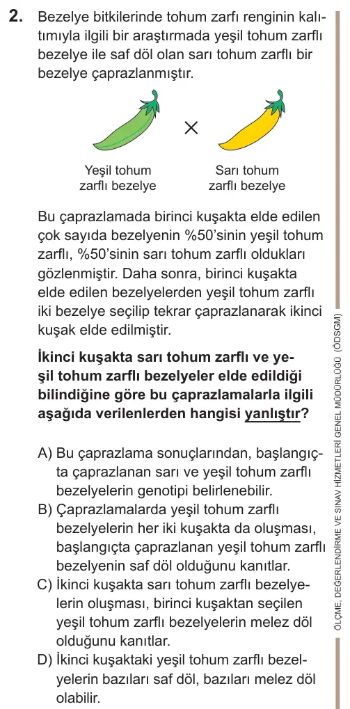 LGS 2022 Sayısal Fen Bilimleri 2. Soru görseli