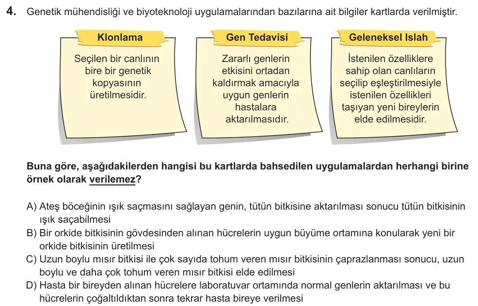 LGS 2022 Sayısal Fen Bilimleri 4. Soru görseli