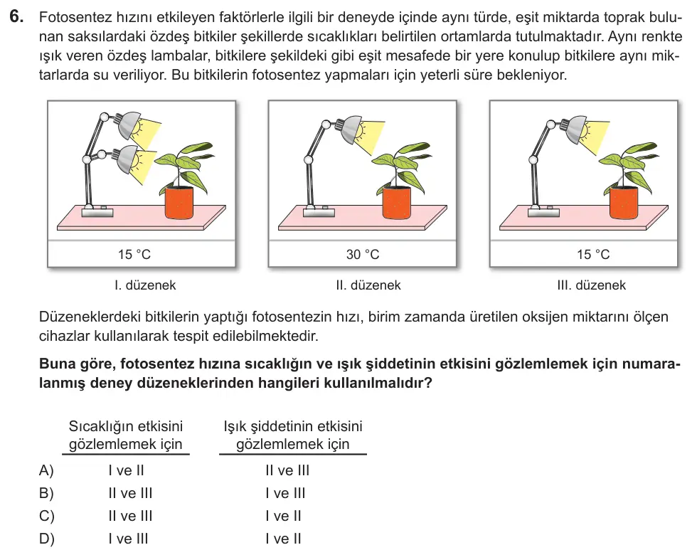 LGS 2022 Sayısal Fen Bilimleri 6. Soru görseli