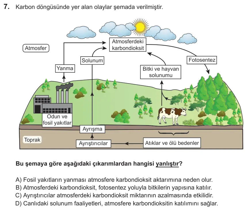 LGS 2022 Sayısal Fen Bilimleri 7. Soru görseli