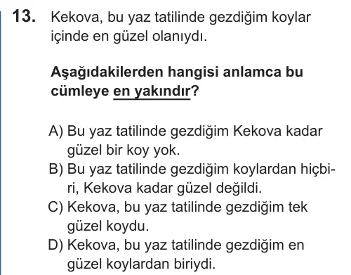 LGS 2022 Sözel Türkçe 13. Soru görseli