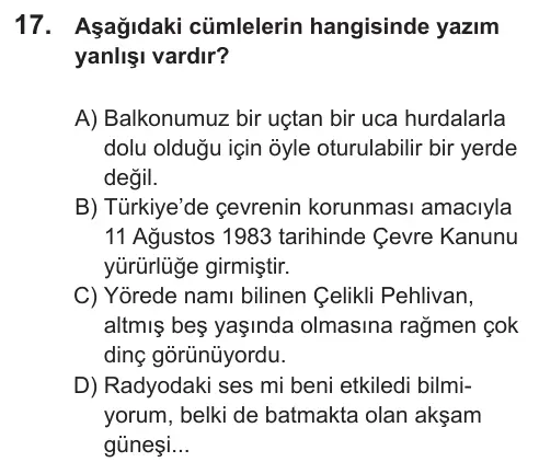 LGS 2022 Sözel Türkçe 17. Soru görseli