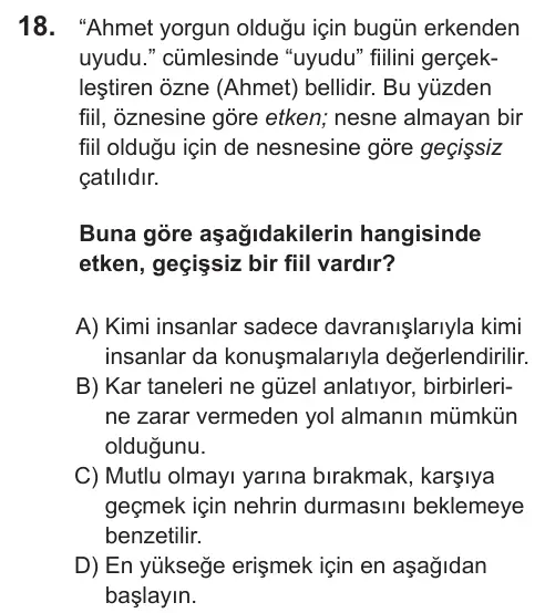 LGS 2022 Sözel Türkçe 18. Soru görseli