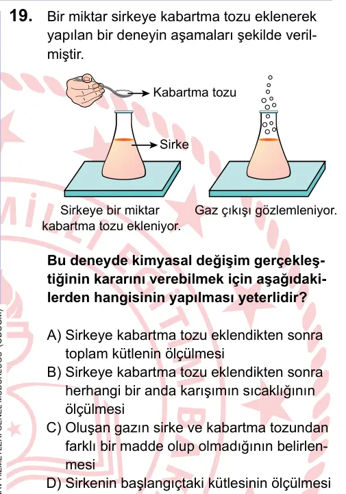 LGS 2023 Sayısal Fen Bilimleri 19. Soru görseli