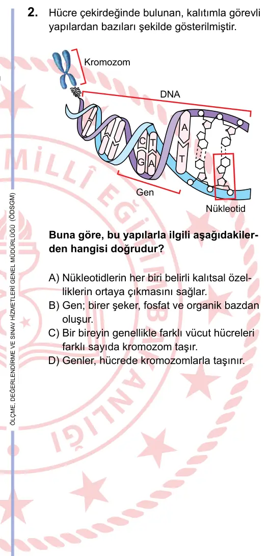 LGS 2023 Sayısal Fen Bilimleri 2. Soru görseli