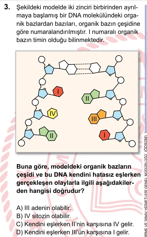 LGS 2023 Sayısal Fen Bilimleri 3. Soru görseli