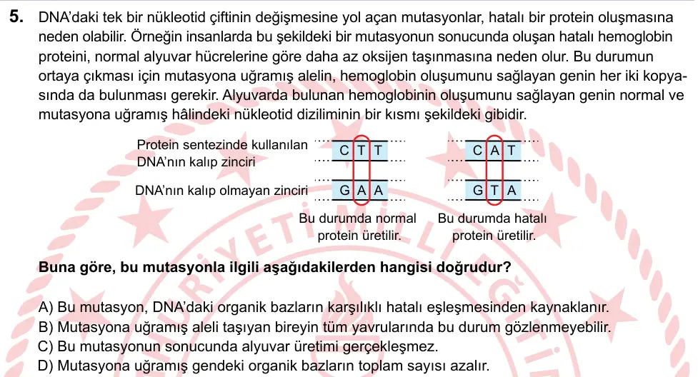 LGS 2023 Sayısal Fen Bilimleri 5. Soru görseli