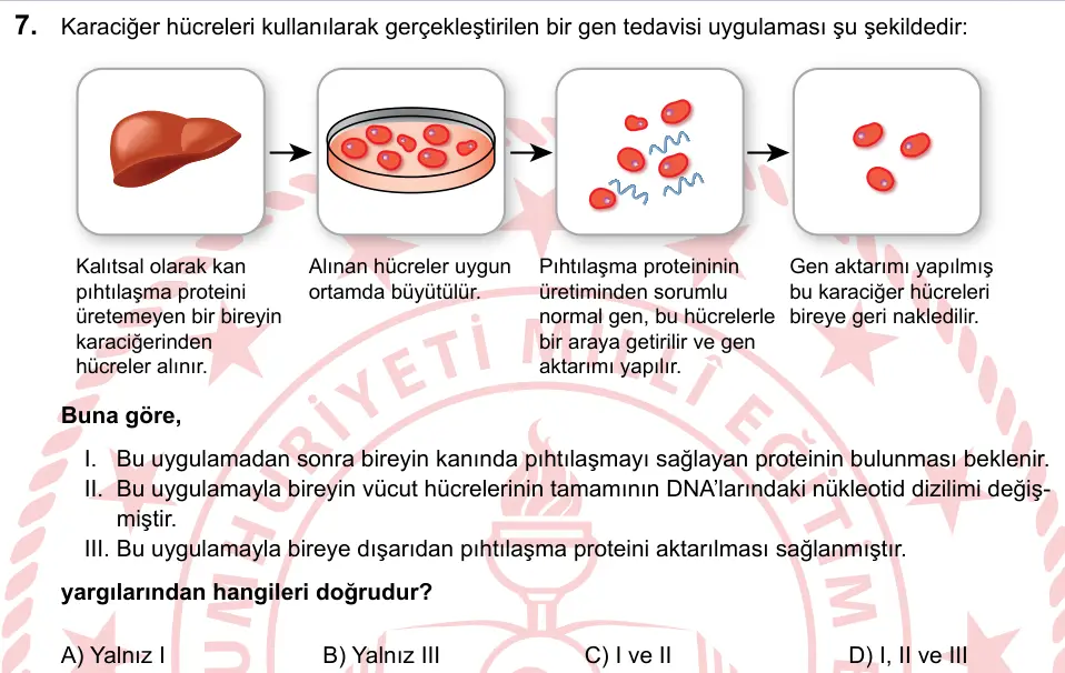 LGS 2023 Sayısal Fen Bilimleri 7. Soru görseli