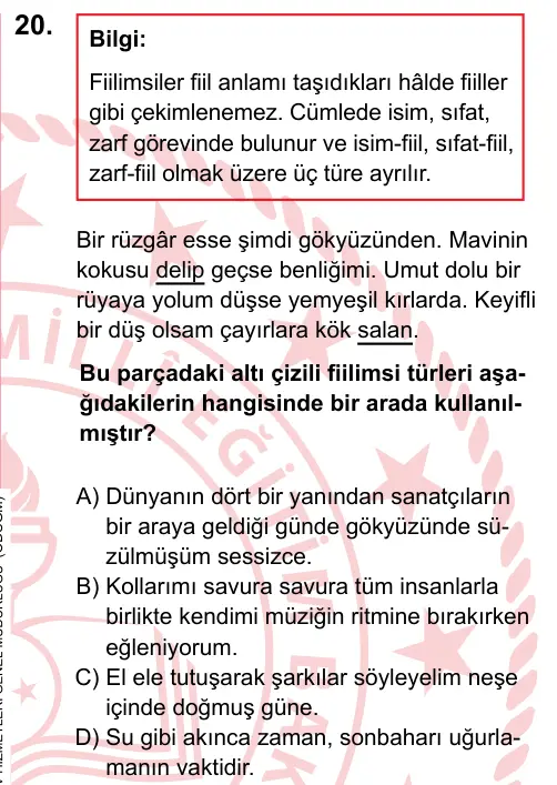 LGS 2023 Sözel Türkçe 20. Soru görseli