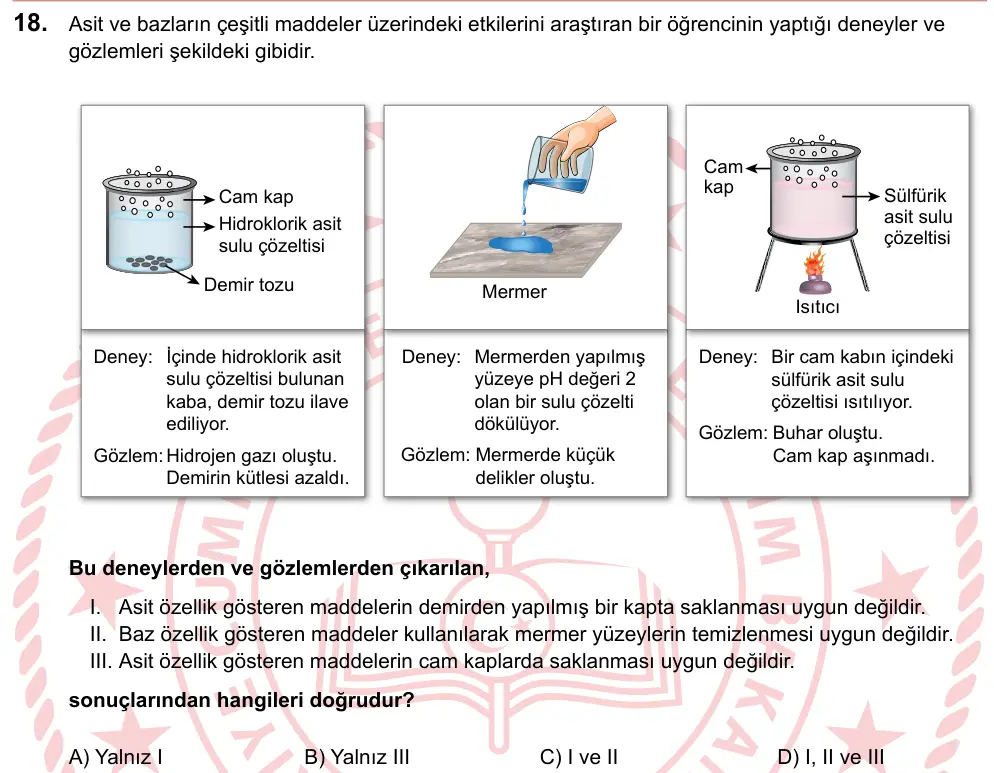 LGS 2024 Sayısal Fen Bilimleri 18. Soru görseli