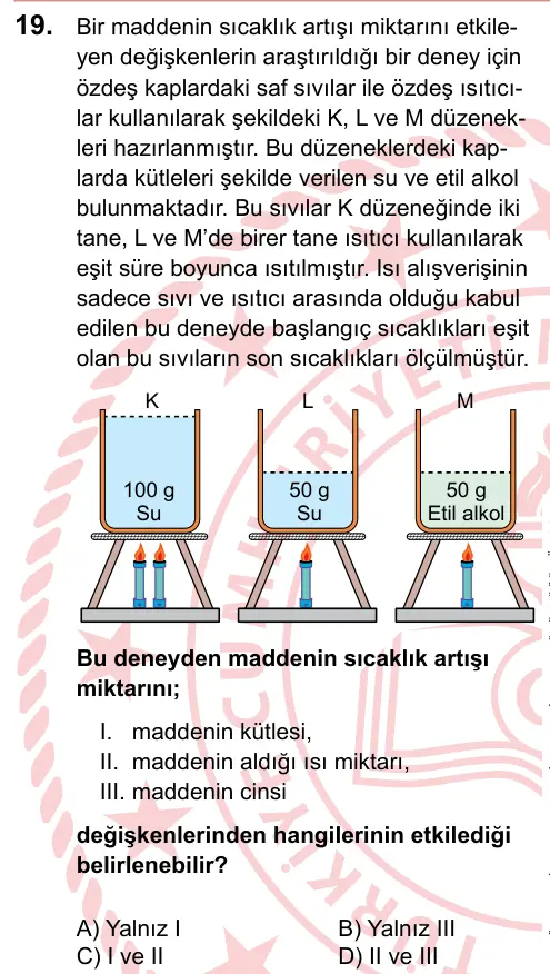 LGS 2024 Sayısal Fen Bilimleri 19. Soru görseli