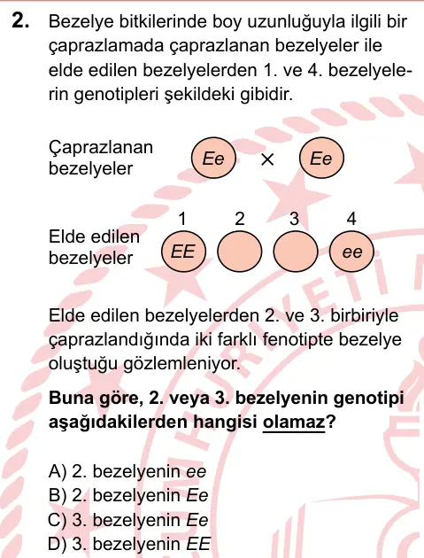 LGS 2024 Sayısal Fen Bilimleri 2. Soru görseli