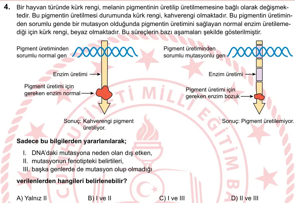 LGS 2024 Sayısal Fen Bilimleri 4. Soru görseli