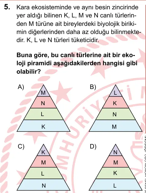 LGS 2024 Sayısal Fen Bilimleri 5. Soru görseli