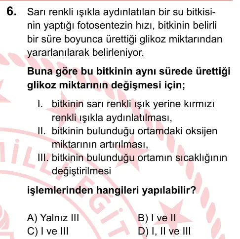 LGS 2024 Sayısal Fen Bilimleri 6. Soru görseli