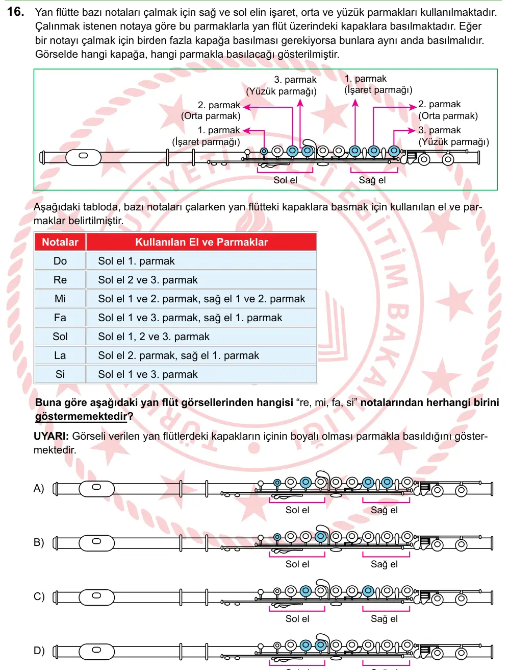 LGS 2024 Sözel Türkçe 16. Soru görseli