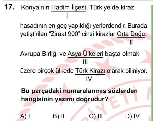 LGS 2024 Sözel Türkçe 17. Soru görseli
