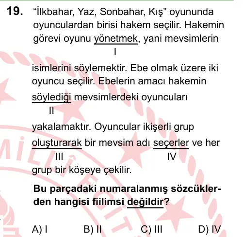 LGS 2024 Sözel Türkçe 19. Soru görseli