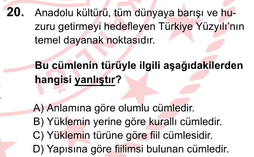 LGS 2024 Sözel Türkçe 20. Soru görseli