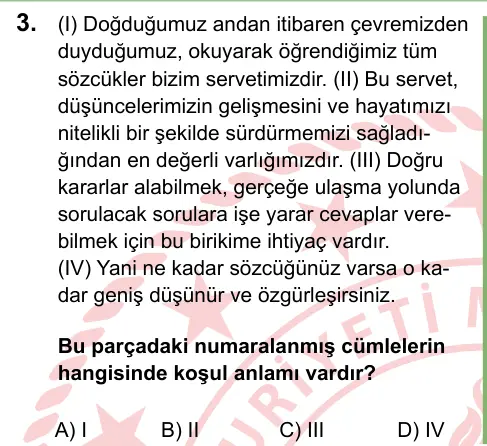 LGS 2024 Sözel Türkçe 3. Soru görseli
