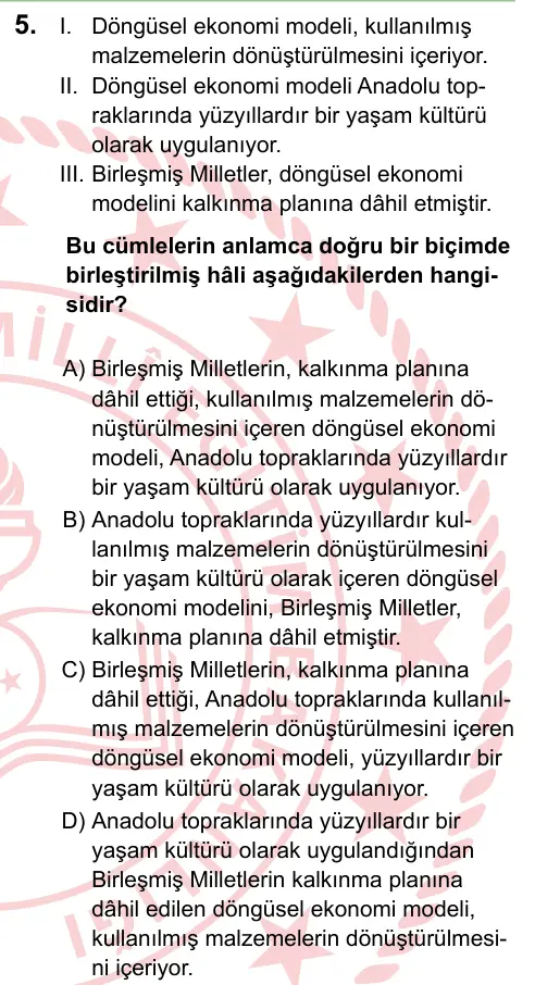 LGS 2024 Sözel Türkçe 5. Soru görseli