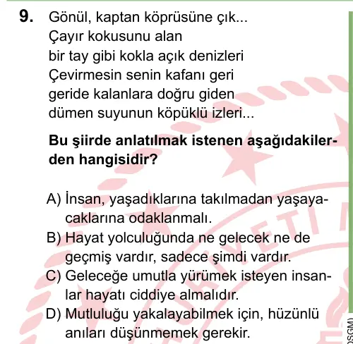 LGS 2024 Sözel Türkçe 9. Soru görseli