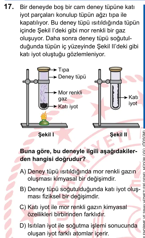 LGS 2025 Sayısal Fen Bilimleri 17. Soru görseli