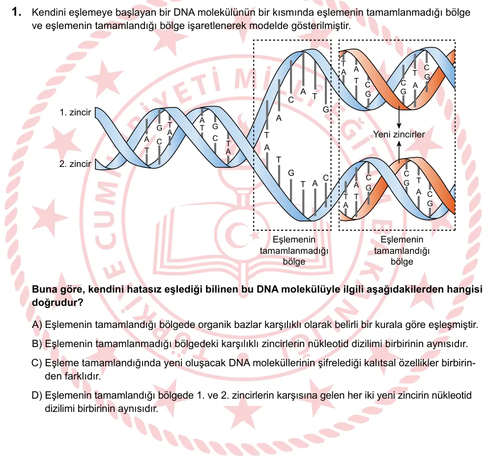 LGS 2025 Sayısal Fen Bilimleri 1. Soru görseli